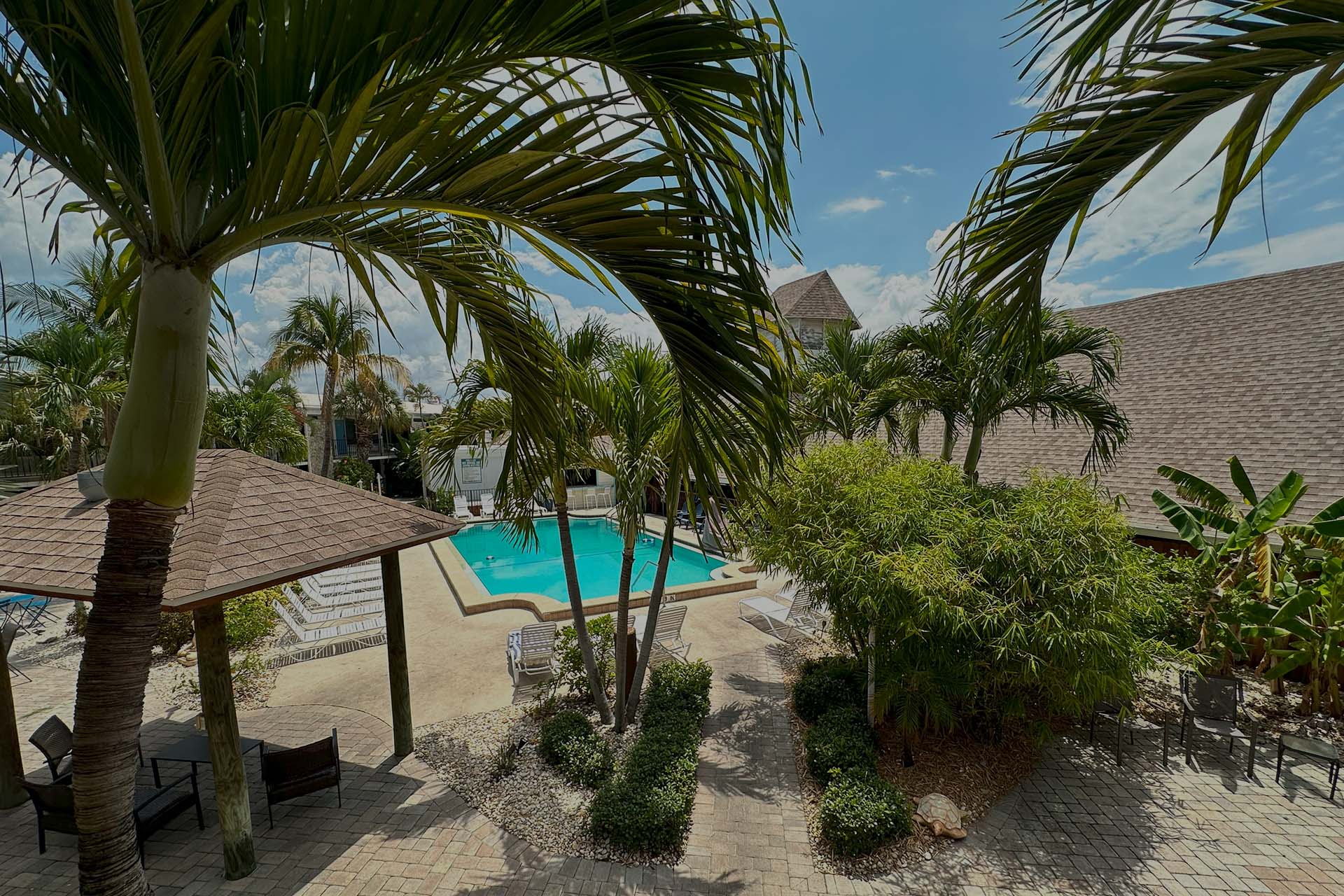 A resort pool area with a gazebo, lounge chairs, and palm trees.